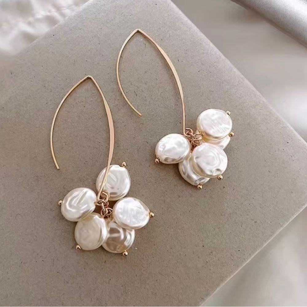U-Shaped Ear Hooks earrings